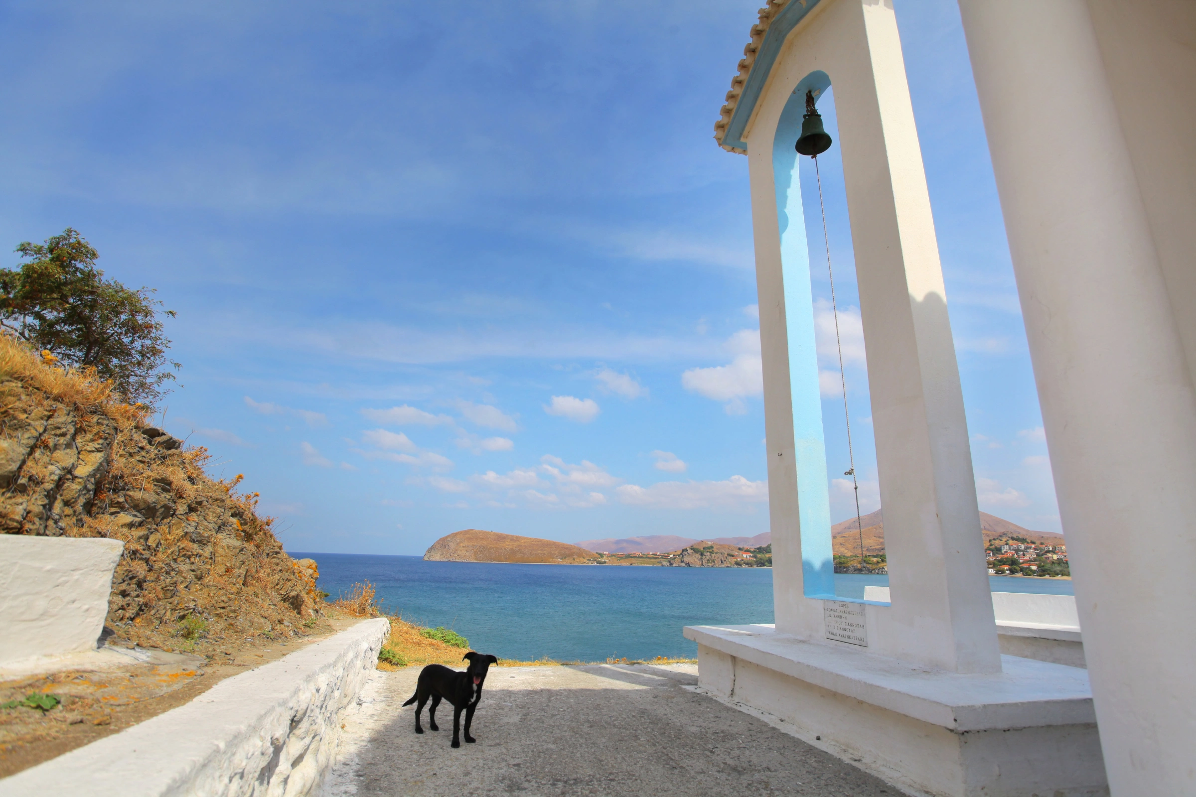 Lemnos[1].webp